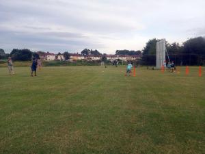 BWIPCC All Stars cricket 2019 19
