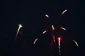 DSC 2790