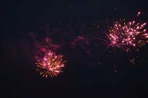 DSC 2820