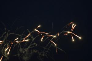 DSC 2827